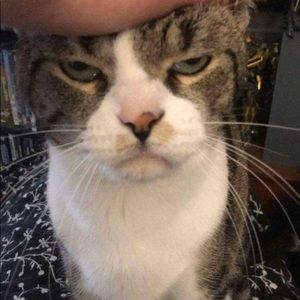 Meet your Posher, Kate